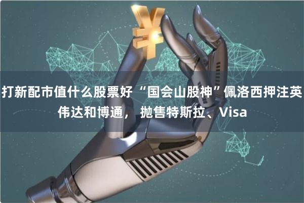 打新配市值什么股票好 “国会山股神”佩洛西押注英伟达和博通， 抛售特斯拉、Visa