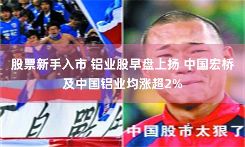 股票新手入市 铝业股早盘上扬 中国宏桥及中国铝业均涨超2%